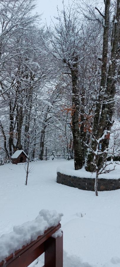 Vikendica Crkvina Villa Kolašin Eksteriør bilde