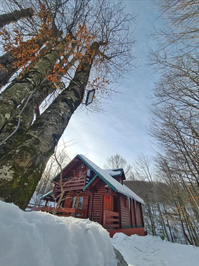Vikendica Crkvina Villa Kolašin Eksteriør bilde